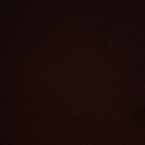 Meet your Posher, Bri